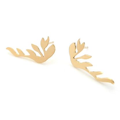 Boucles Ohia
